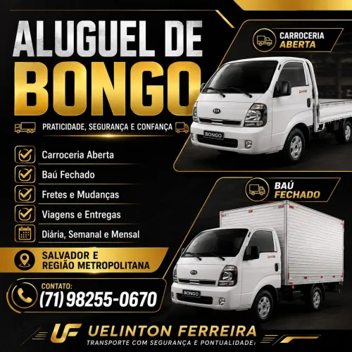 Aluguel de Bongo