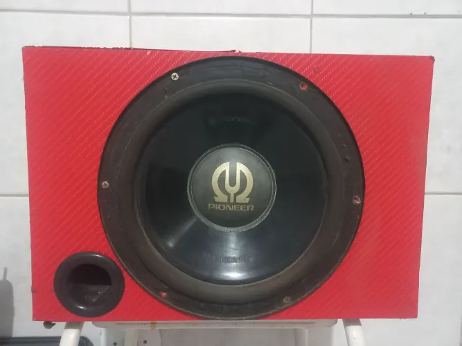 CAIXA DUTADA FALANTE 10" PIONNER 