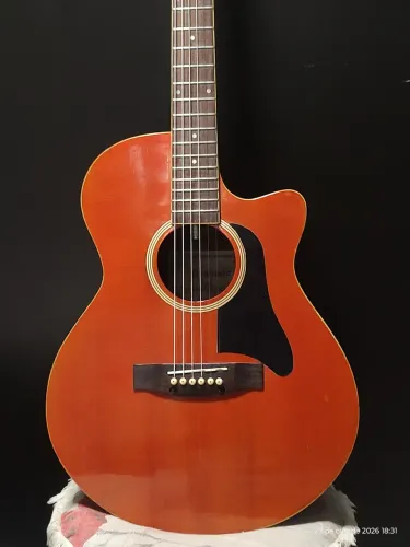 Violão Giannini