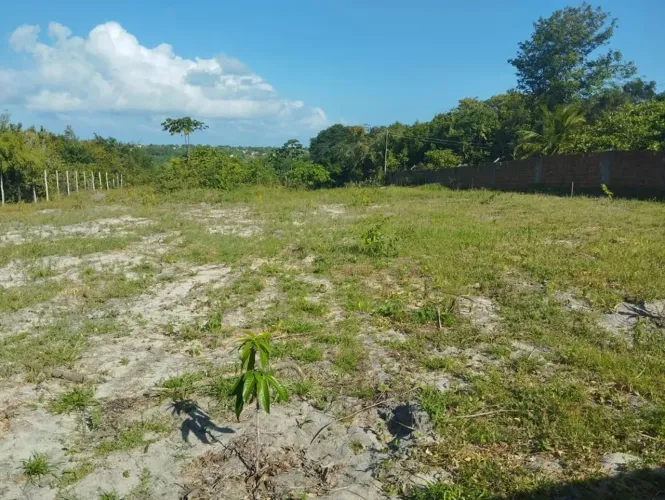 Área pronta pra montar sua chácara no litoral sul