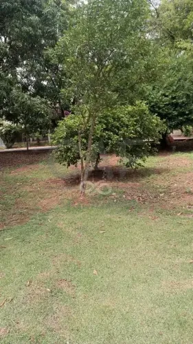 Terreno à venda, 1001 m² por R$ 300.000 - Santo Antônio de Posse/SP
