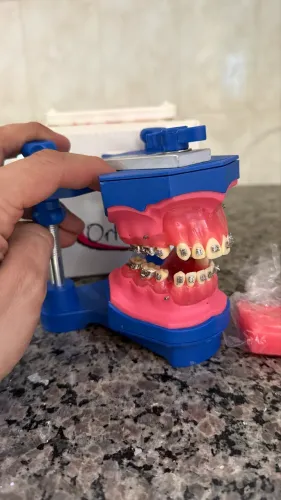 Manequim odontológico 