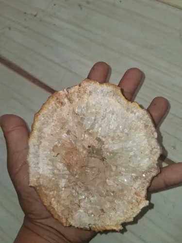 Geodo