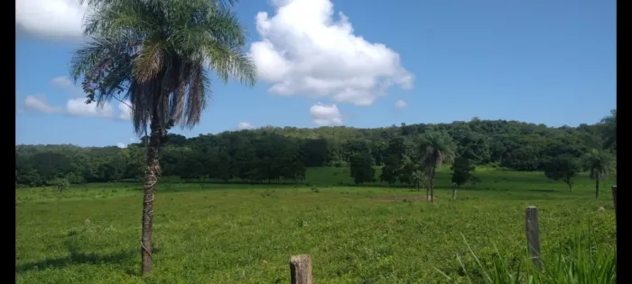 Fazenda em Barrolandia - Palmas - Miracema 