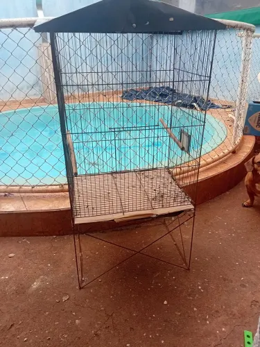Tô vendo gaiola