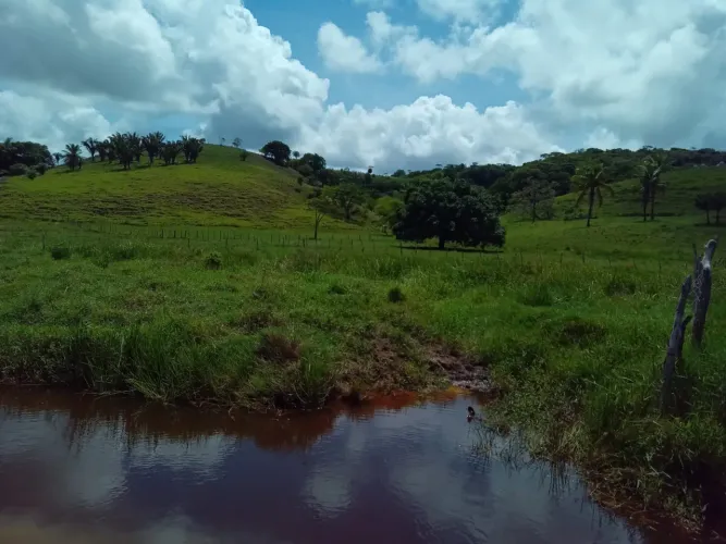 Propriedade em São Miguel dos Milagres 40 hectares 
