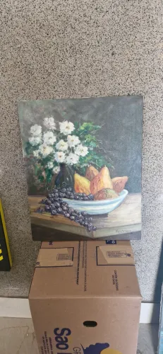 Vendo quadro