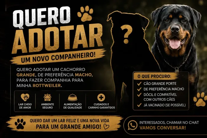 Procuro cão macho de grande porte para companhia de Rottweiler (adoção)