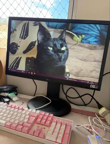 Monitor LG 21.5 polegadas