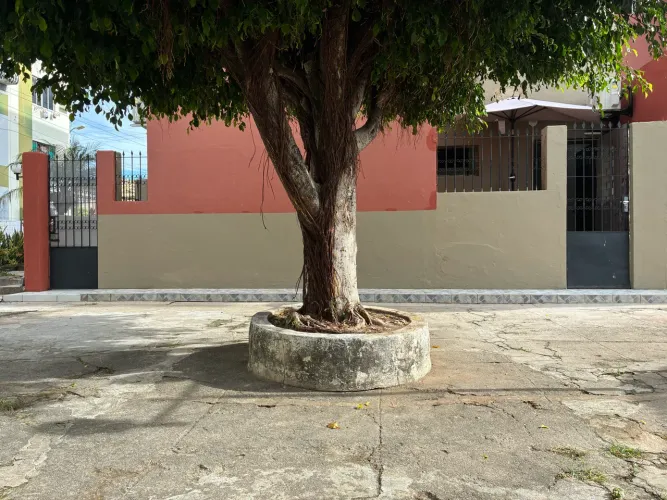 Ap térreo, 2 quartos c suite, 100% nascente e muito ventilado.