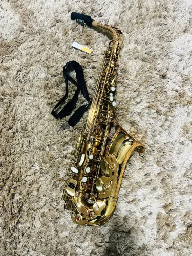 Sax alto Winner usado