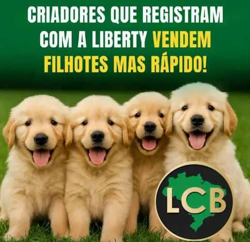 Solicite já o Pedigree do seu cão de raça