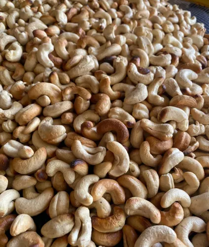 CASTANHA DE CAJU (SELECIONADAS )