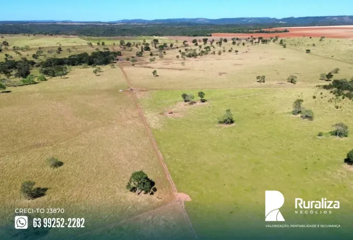 FAZENDA 238 ALQUEIRES | 695 HA PARA CONVERSÃO AGRÍCOLA | LATOSSOLO VERMELHO