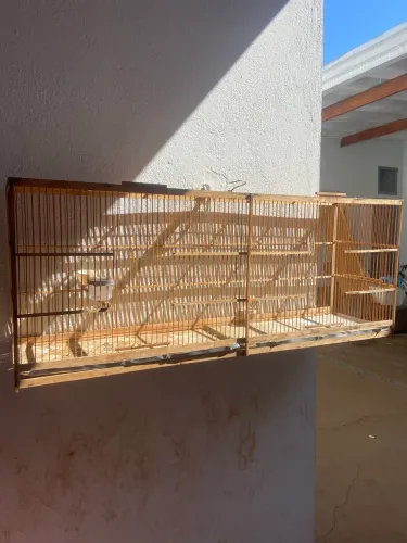 Gaiola a voadeira 