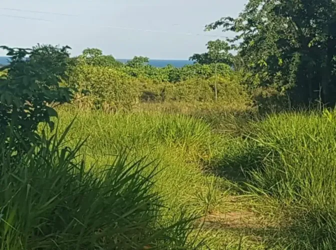 Fazenda/Sítio/Chácara para venda com 12.700m2 metros quadrados em Praia Bela - Pitimbu - P