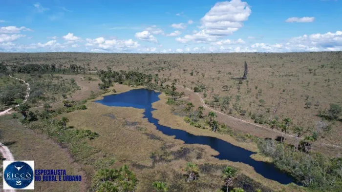 FAZENDA À VENDA EM DIANÓPOLIS TO | 297 ALQUEIRES