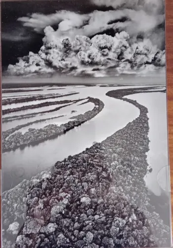 Poster sebastiao salgado ilhas anavilhanas