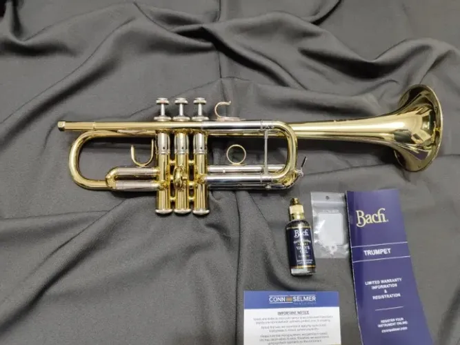 Trompete Bach Stradivarius em Dó ( C190229/25M) Michael Sachs