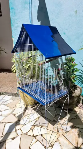 Vendo viveiro de ferro tamanho M