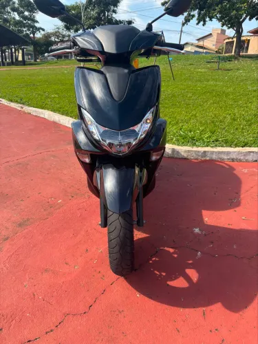 VENDO FLUO 2024