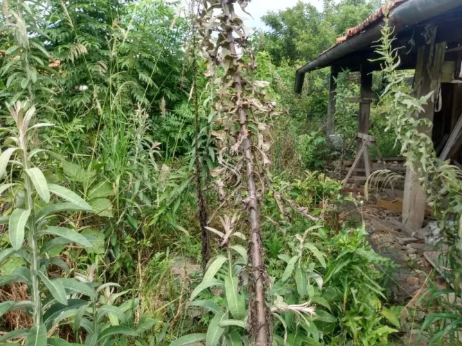 Terreno em São Paulo