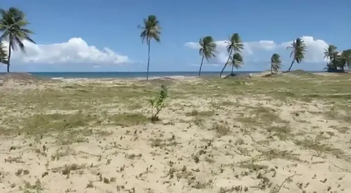 Aluguel terreno Beira Mar 5.000 m² para camping ou outros local paradisíaco R$ 4,900