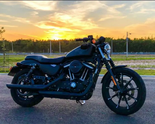 Harley Iron XL883N