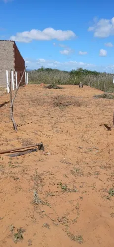 Terreno