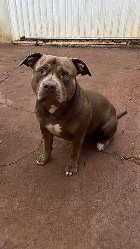 Pit monster femea
