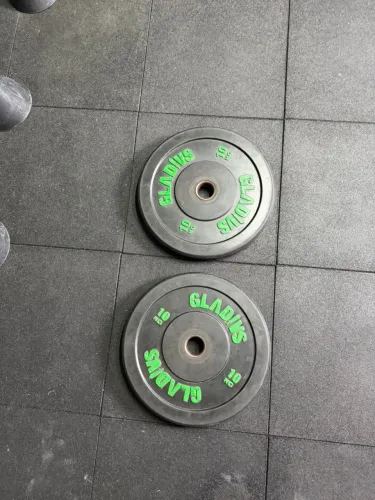 Par de Anilhas de 10 kg 350 reais