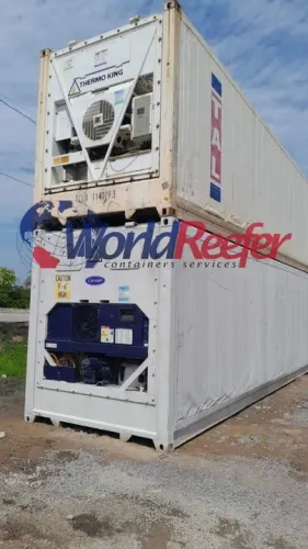 Venda Container Refrigerado ( Camâra Fria )