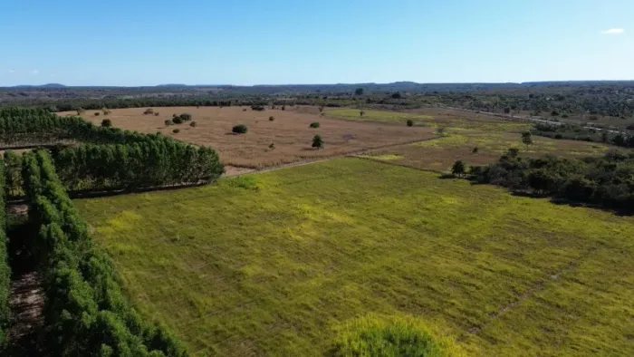 Fazenda em São Pedro do Piaui