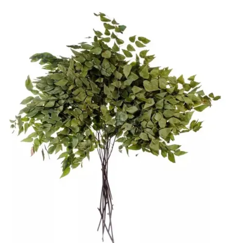 Folha de Avenca Para Decorações - Lote