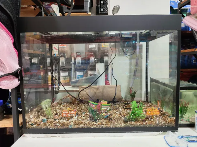 Aquário de 185 Litros completo 