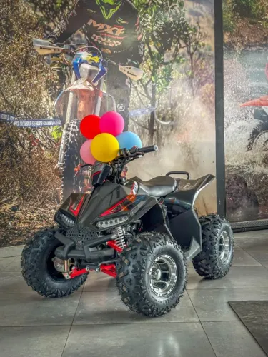 MINI QUADRICICLO BRAVE 110C 4T COM PARTIDA ELÉTRICA PRONTA ENTREGA