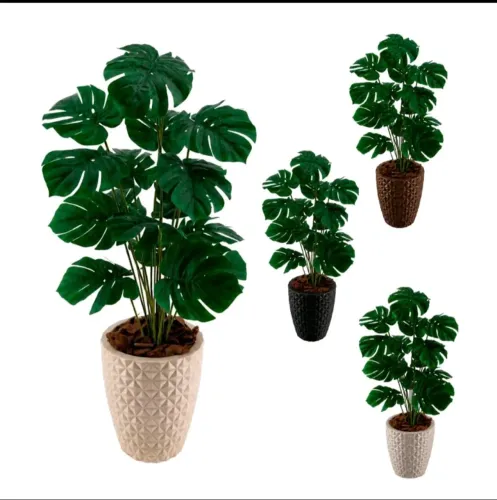 Planta artificial costela de Adão com vazo