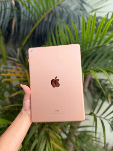 iPad & Apple Pencil