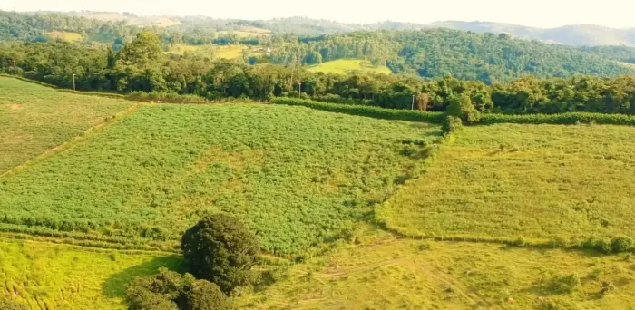 Atibaia - SP Chácara  20.000 m² Escritura Ok
