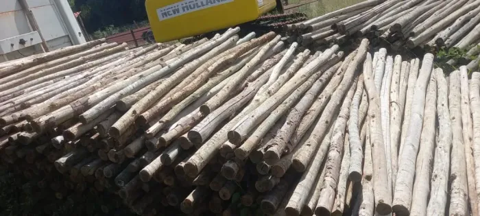 Eucalipto tratado, ideal para cercas, com 2,20 metros de comprimento e diâmetro entre 4 a 