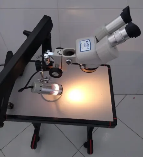 microscópio estereoscópico  MEIJI EMX 1 com aumento 10X e 30x
