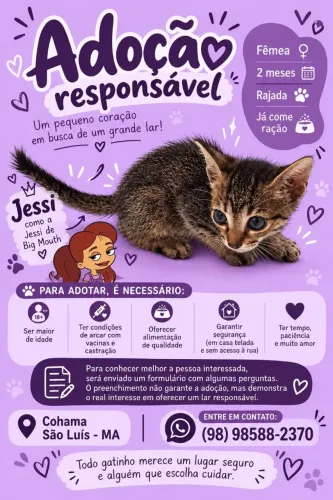Jéssi (fêmea): Adoção Responsável | Gatinha Filhote Rajada - 2 Meses | São Luís