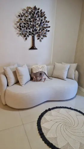 Sofa organico 2 meses de uso