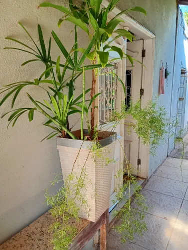 Vaso Ornamental Coluna Rattan 