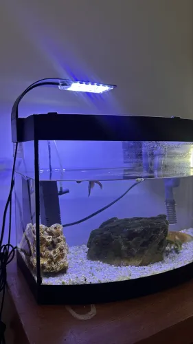 Aquário de 27 L - completo
