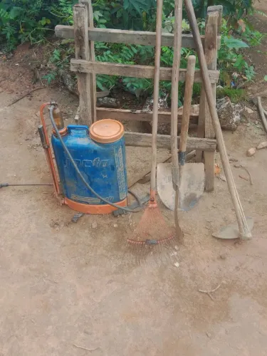 Roço pasto fasso serca capino lote