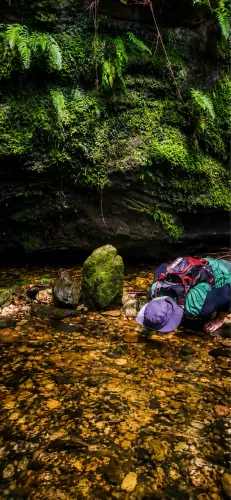 Fazendinha no alto da serra do cipó 