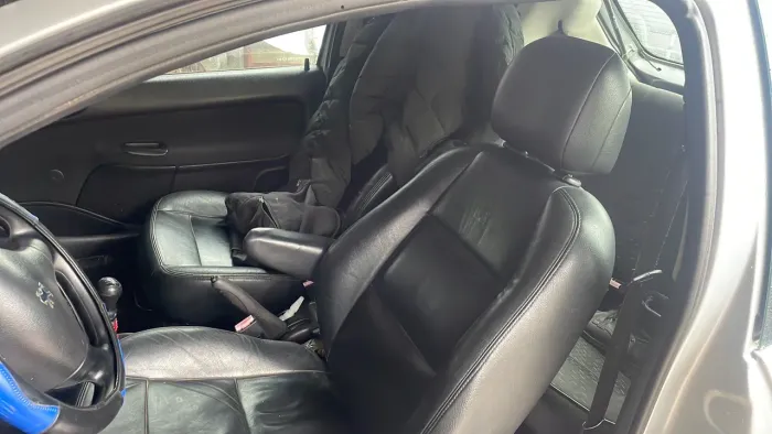 Peugeot 206 Sensation 1.4 Flex 8V 3P 2007