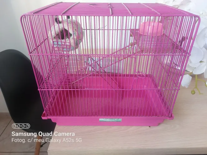Gaiola para hamster com acessórios