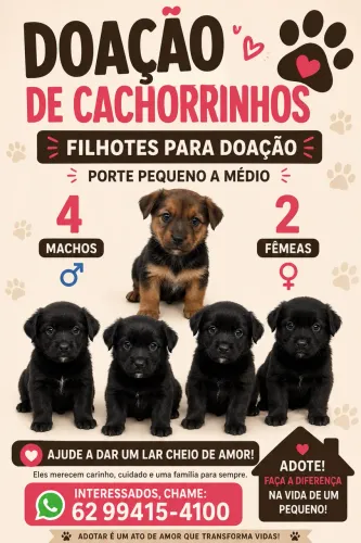 Doação de bebês SRD
